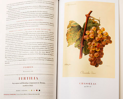 Wine Grapes, by Robinson-Harding-Vouillamoz, Allen Lane 2012