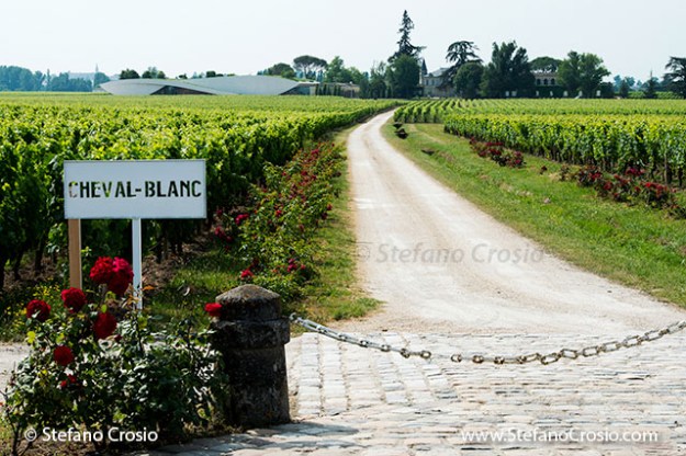 Saint Emilion:  Chateau Cheval Blanc and its vineyards