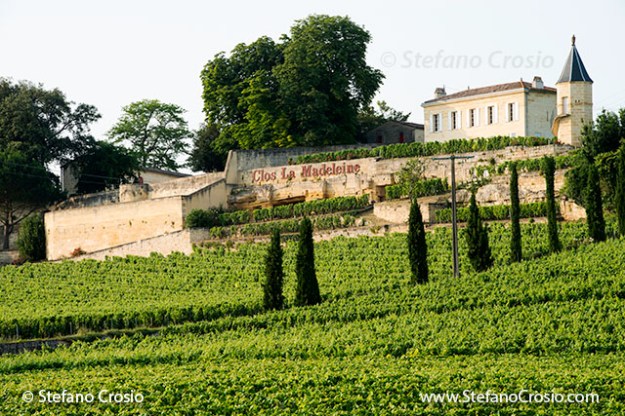 Saint Emilion:  Clos La Madeleine and its vineyards