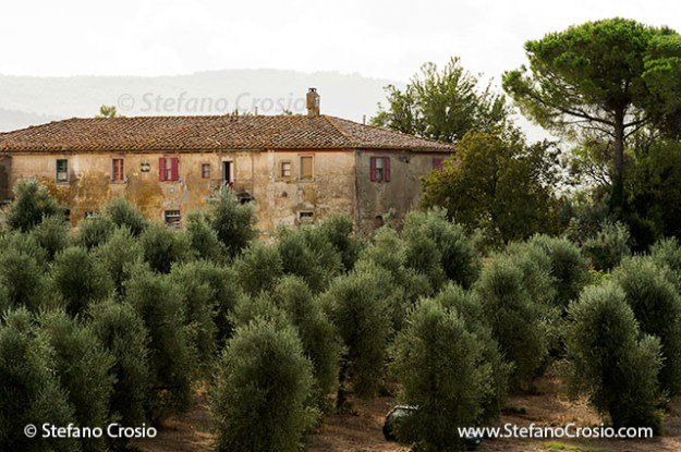Italy, Bolgheri: One of the buidings in the Tenuta San Guido estate