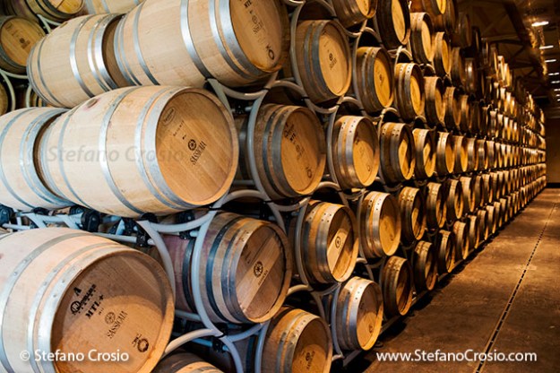 Italy, Bolgheri: Tenuta San Guido's Sassicaia aging cellar