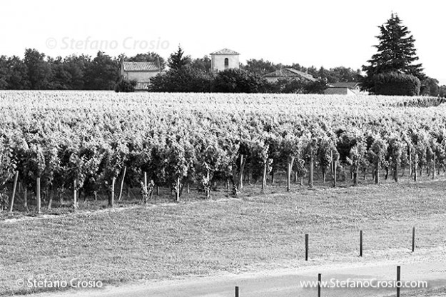  The vineyards of Chateau de Ferrand (Grand Cru Classé)