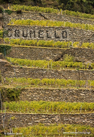  Valtellina mountain vineyards